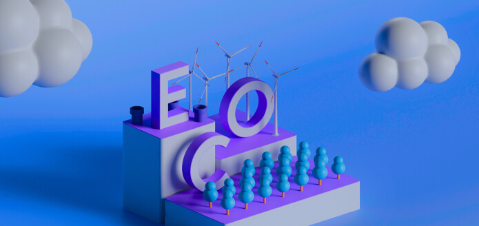 E-Commerce Platform Development